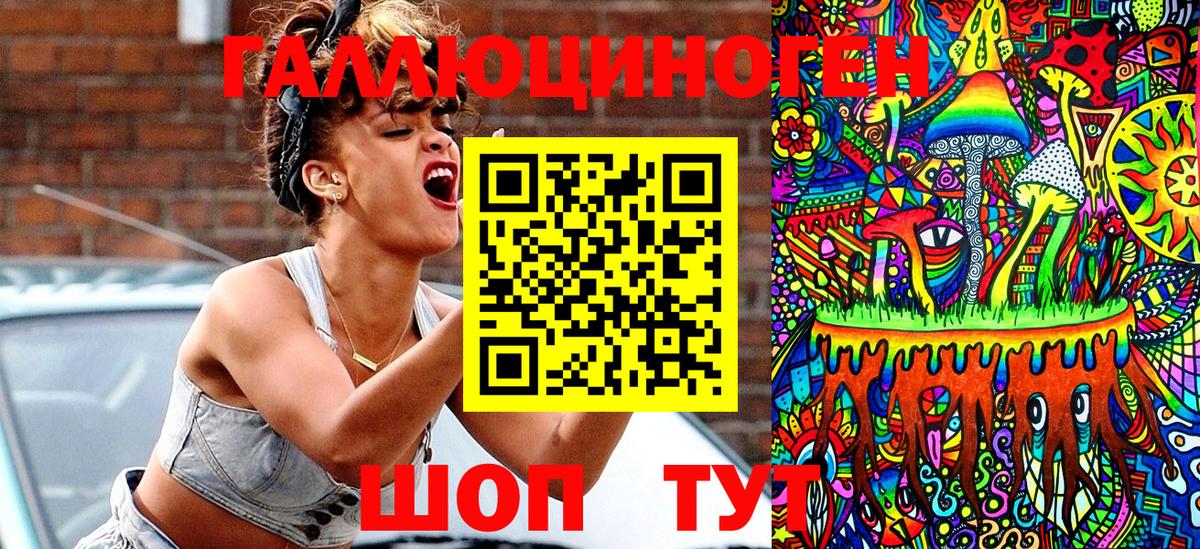 Псилоцибиновые грибы Psilocybe Вятские Поляны
