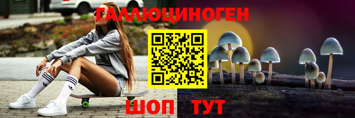 Вятские Поляны  Галлюциногенные грибы Psilocybine cubensis  Вход с VPN 
